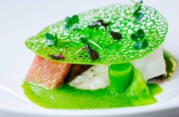 Bluefin Thunfisch & Hiramasa