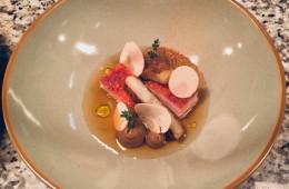 Schweinebauch meets AMABUKI Rhododendron