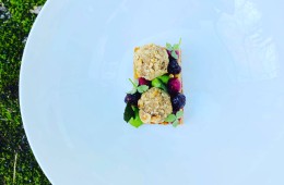 Geflügelleber / Haselnuss