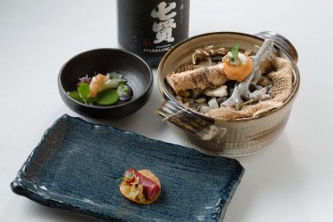 Cacina de Leon - Cacina de Leon