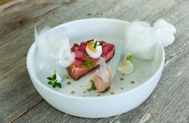 Rhubarb and Mountain Pine - Rhubarb / mountain pine / meringue / glacier ice
Cook / Restaurant: Verwöhnhotel Sonnhof by Vitus Winkler, Herbal Kingdom by Vitus Winkler