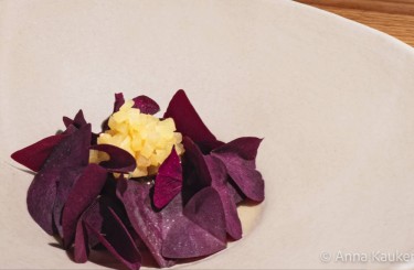 Schweinebäckchen Ragout - Schweinebäckchenragout | Flöns | Aal | Oxalis | Apfel