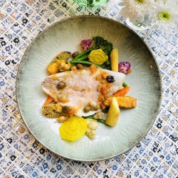 Dorade im Backofen mit Bouillabaisse-Soße und panierter Zucchini - Dorade im Backofen mit Bouillabaisse-Soße und panierter Zucchini