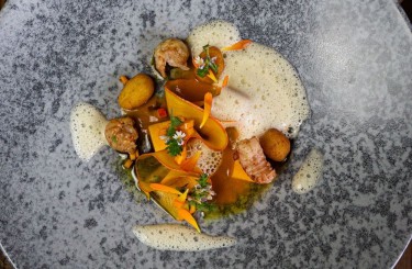 Crayfish - Crayfish / crayfish foam / potato egg / pumpkin / marigold flowers
Chef / Restaurant: Verwöhnhotel Sonnhof by Vitus Winkler, Herbal Kingdom by Vitus Winkler