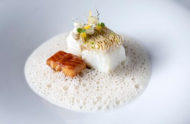 Pike Perch Matsukasa Yaki - Pike perch 