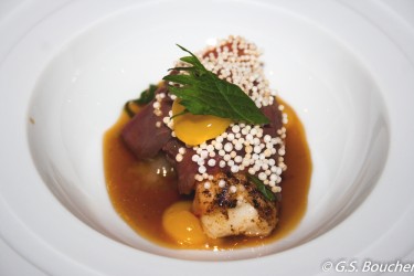 Bondage - Kalbszunge - Bondage - Kalbszunge, Langostine stark geröstet, Lauchmark, Mandarine, Shisoblatt grün, Wasabi Ganache