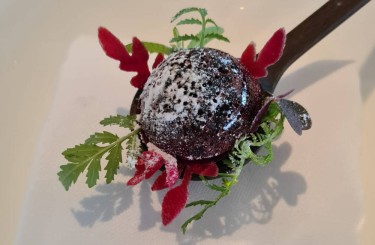 Ein Stück Rote Bete - Ein Stück Rote Bete, Schwarze Johannisbeere, Joghurt & Tagetes (Ringelblumen)