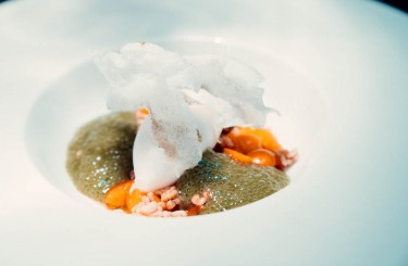 Geflämmtes Schweinekinn - Geflämmtes Schweinekinn, Mango, Joghurt, Pandanschaum & gepuffter Reis
Restaurant: Tawa Yama