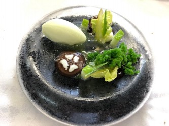 Buttermilch-Salzzitronen Sorbet - Buttermilch-Salzzitronen Sorbet, mit schwarzen Nüssen und Petersilien Granité.