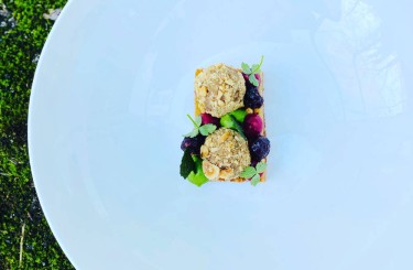 Poultry Liver / Hazelnut - Poultry liver / hazelnut / brioche / cranberry / kale