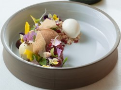 Cherry - Cherry, tonka beans, walnuts and chocolate