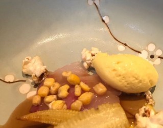 Warmes Hiramasa Sashimi - Warmes Hiramasa Sashimi, Holunder-Ponzu, Maistexturen